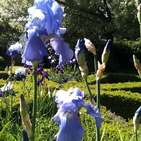 Cote Jardin